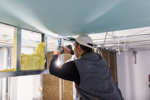 Best Insulation Maintenance and Repair in Colfax, CA