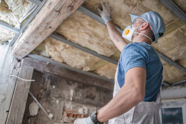 Best Types of Insulation in Colfax, CA